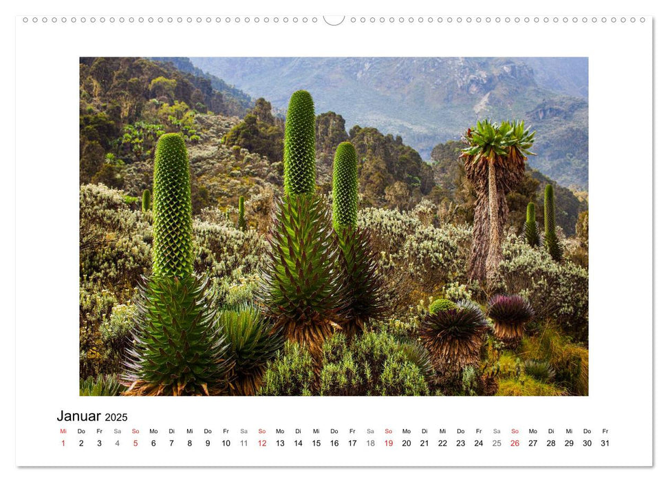 Ruwenzori (CALVENDO Wandkalender 2025)