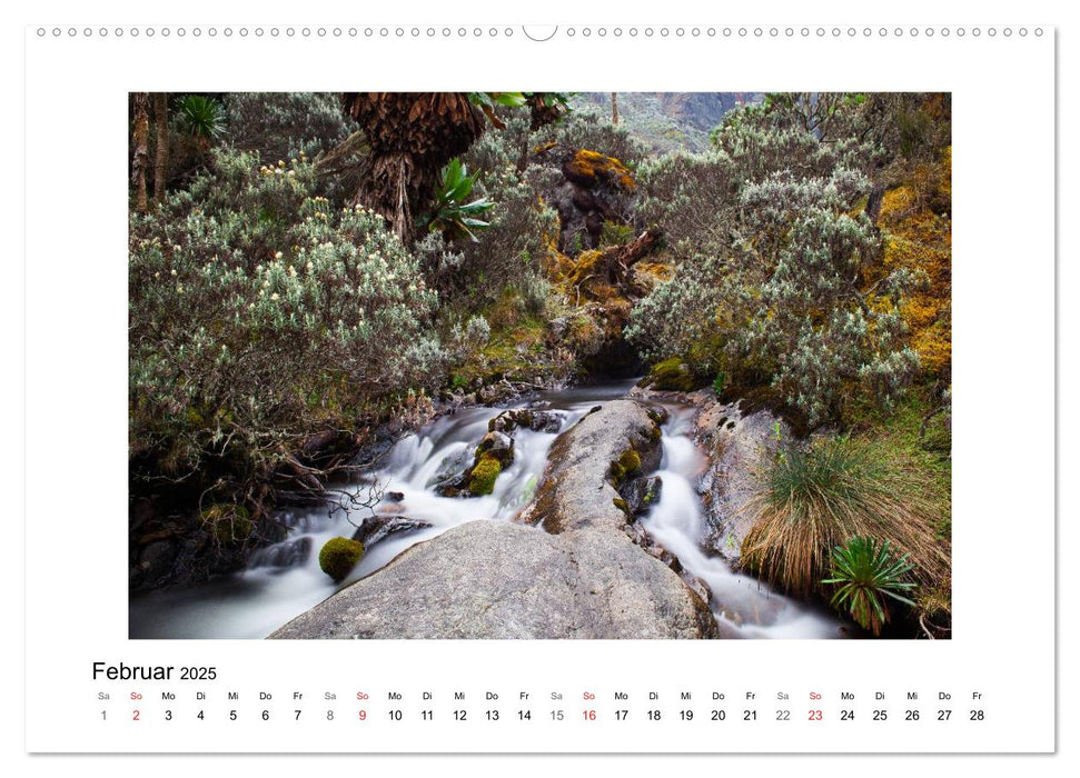 Ruwenzori (CALVENDO Wandkalender 2025)