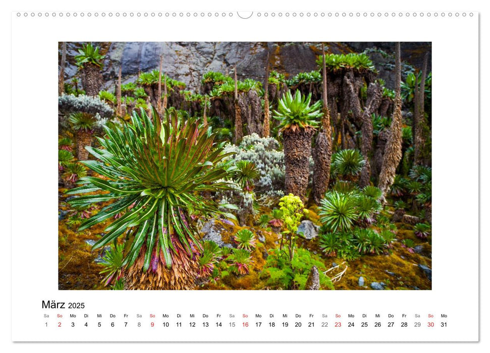 Ruwenzori (CALVENDO Wandkalender 2025)