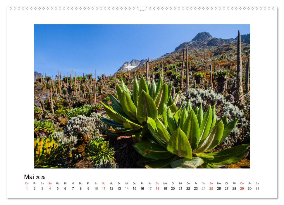 Ruwenzori (CALVENDO Wandkalender 2025)