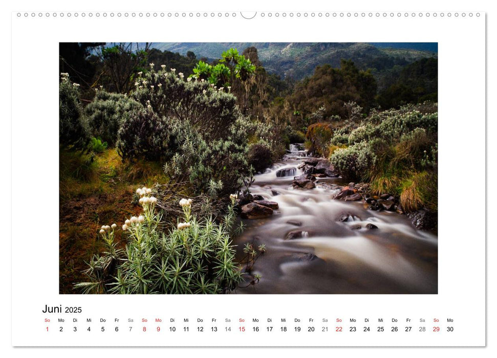 Ruwenzori (CALVENDO Wandkalender 2025)