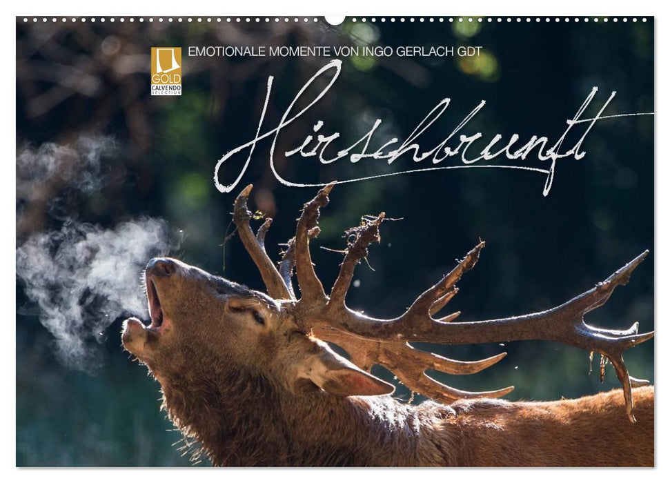 Emotionale Momente: Hirschbrunft (CALVENDO Wandkalender 2025)