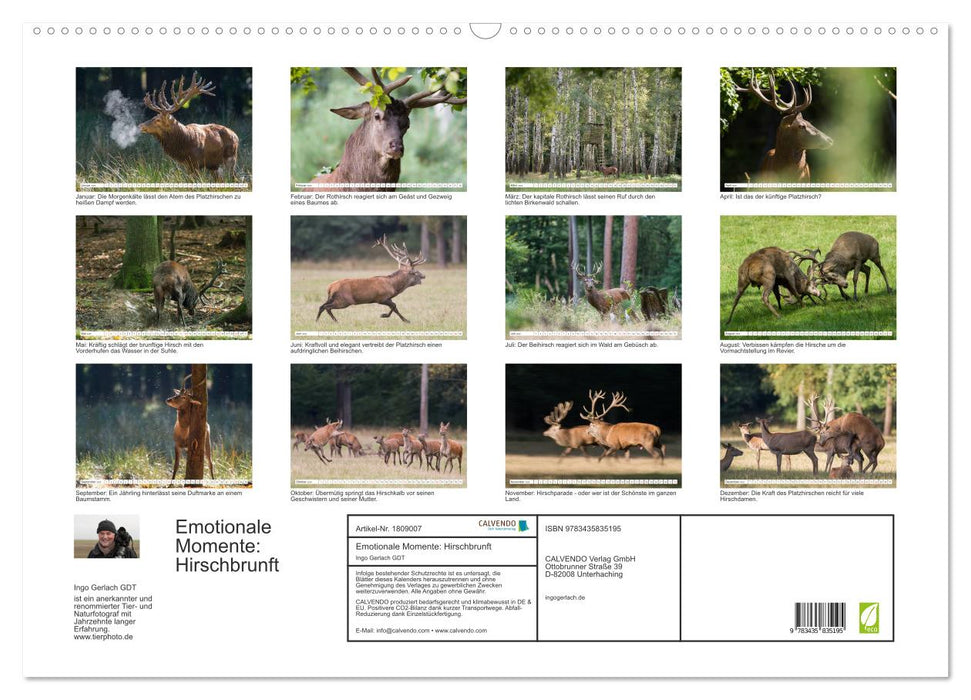 Emotionale Momente: Hirschbrunft (CALVENDO Wandkalender 2025)