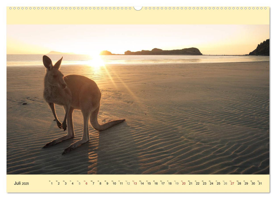 Australien - Der vielseitige Osten (CALVENDO Premium Wandkalender 2025)