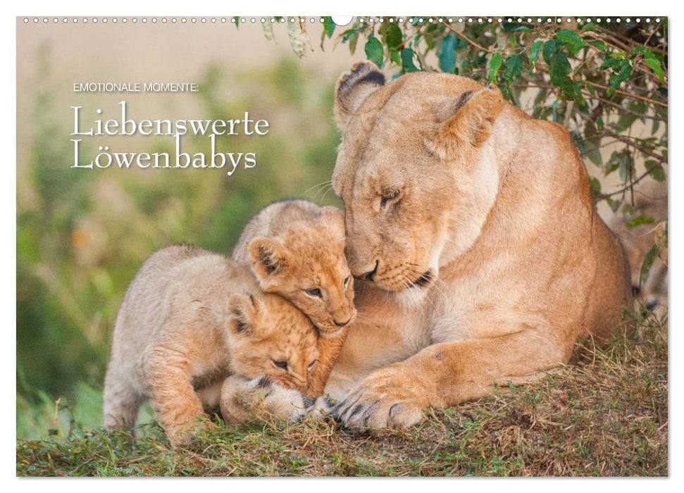 Emotionale Momente: Liebenswerte Löwenbabys (CALVENDO Wandkalender 2025)