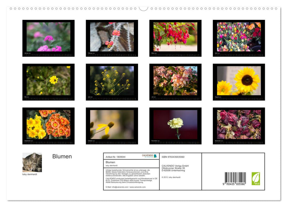 Blumen (CALVENDO Premium Wandkalender 2025)