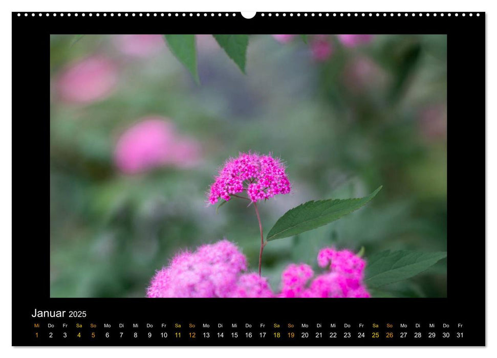 Blumen (CALVENDO Premium Wandkalender 2025)