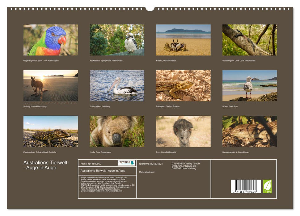 Australiens Tierwelt - Auge in Auge (CALVENDO Premium Wandkalender 2025)