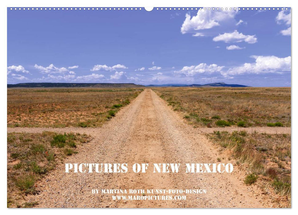Pictures of New Mexico (CALVENDO Wandkalender 2025)