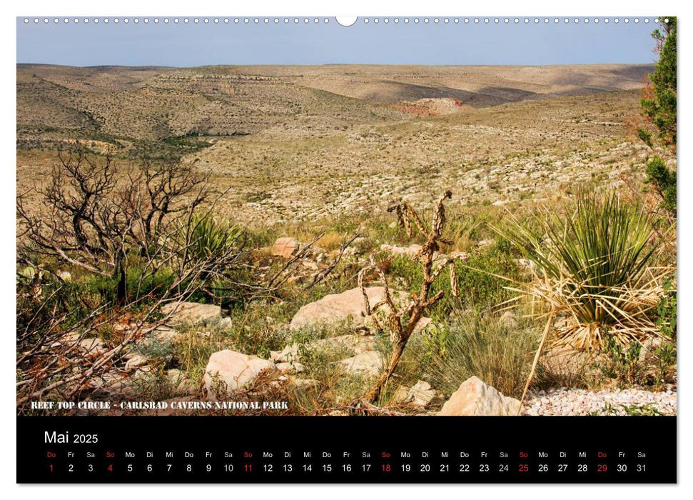 Pictures of New Mexico (CALVENDO Wandkalender 2025)