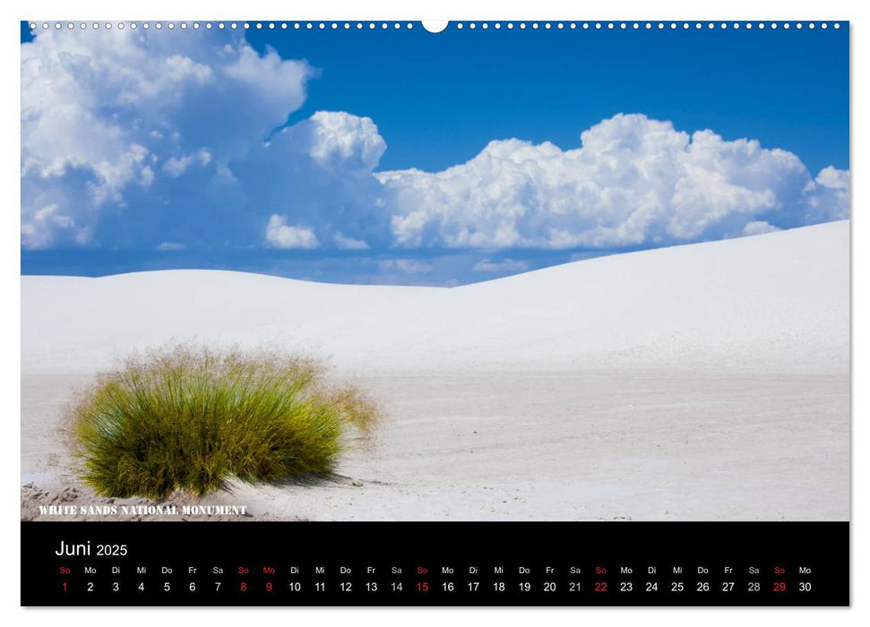 Pictures of New Mexico (CALVENDO Wandkalender 2025)