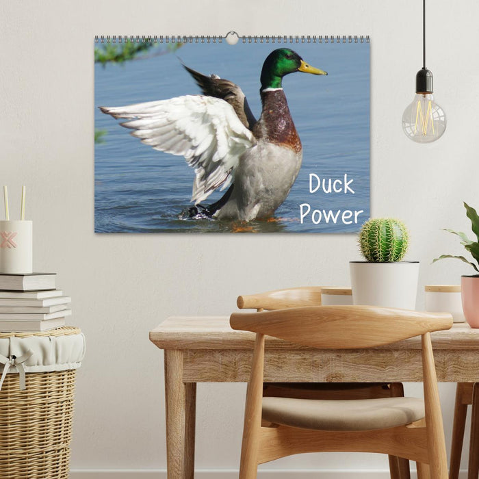Duck Power (CALVENDO Wandkalender 2025)