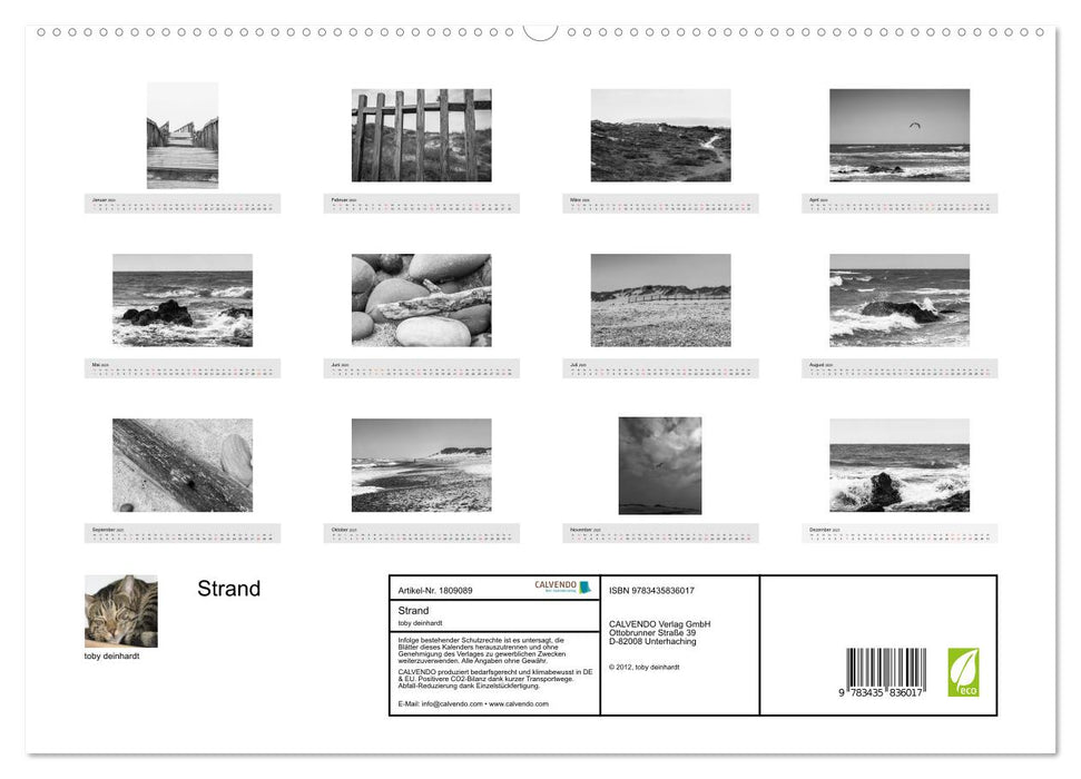 Strand (CALVENDO Premium Wandkalender 2025)