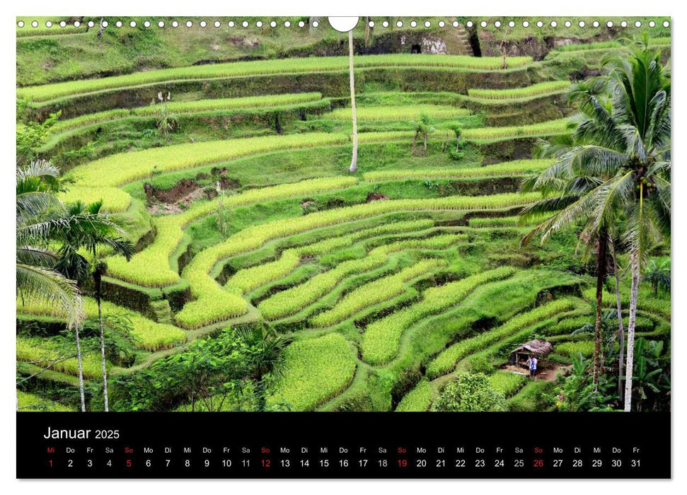 Bali (CALVENDO Wandkalender 2025)