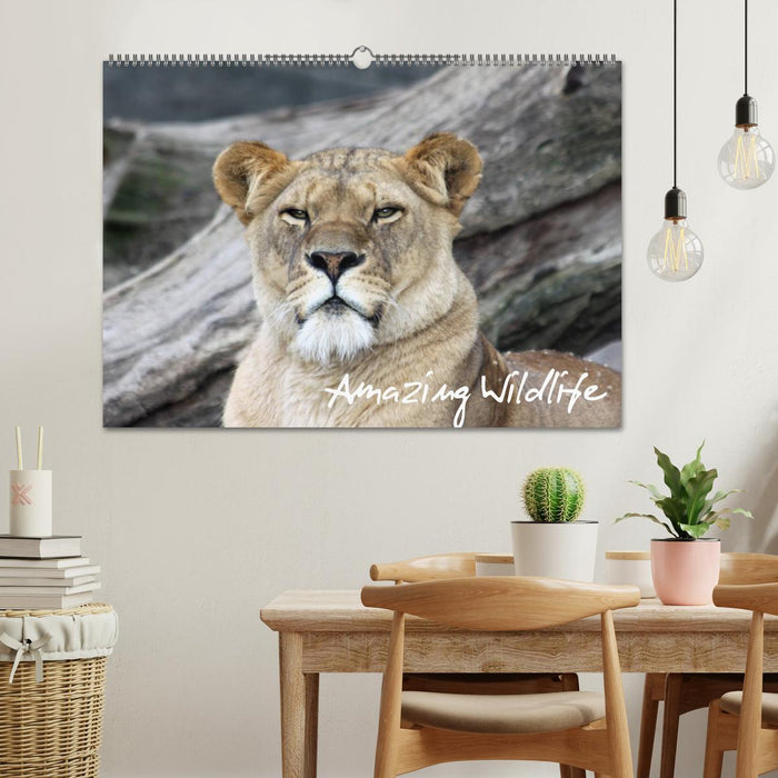 Amazing Wildlife (CALVENDO Wandkalender 2025)