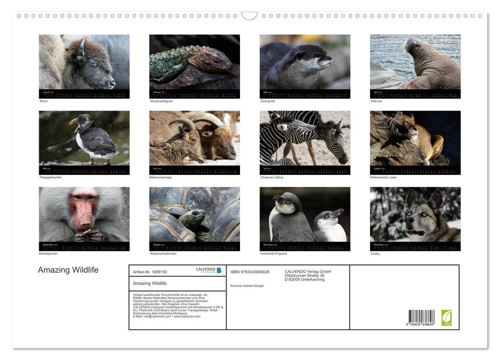 Amazing Wildlife (CALVENDO Wandkalender 2025)