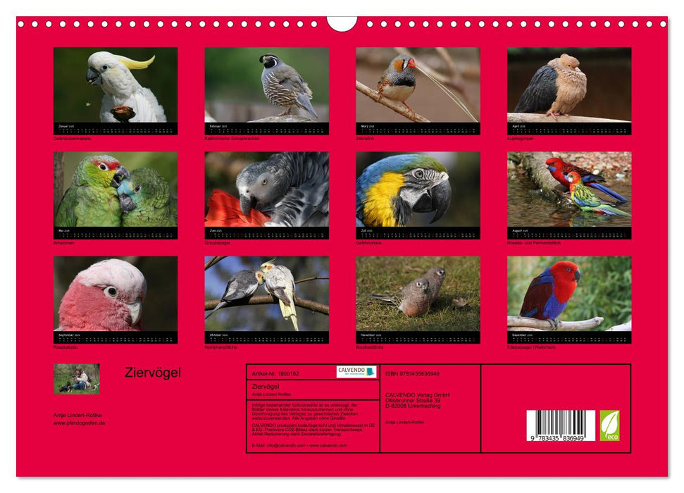 Ziervögel (CALVENDO Wandkalender 2025)