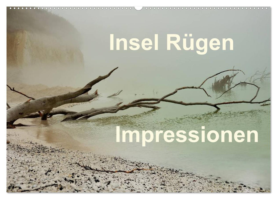 Insel Rügen Impressionen (CALVENDO Wandkalender 2025)