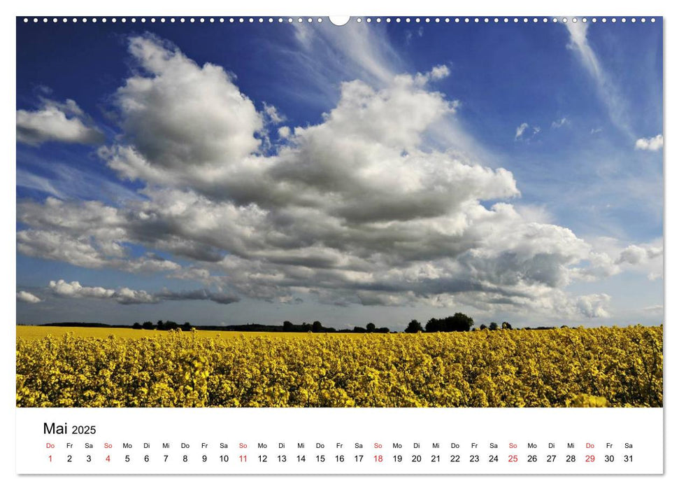 Insel Rügen Impressionen (CALVENDO Wandkalender 2025)