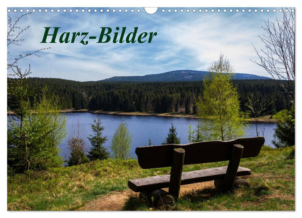 Harz-Bilder (CALVENDO Wandkalender 2025)