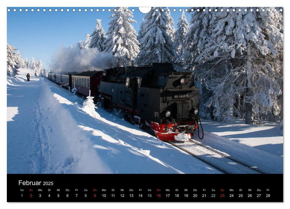 Harz-Bilder (CALVENDO Wandkalender 2025)