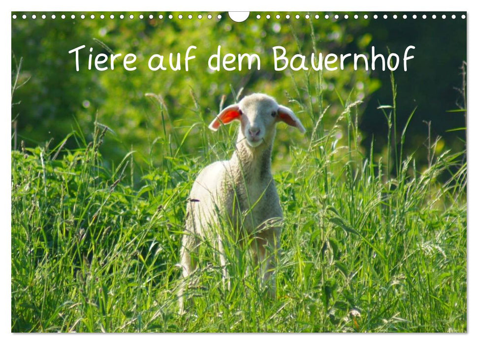 Tiere auf dem Bauernhof (CALVENDO Wandkalender 2025)