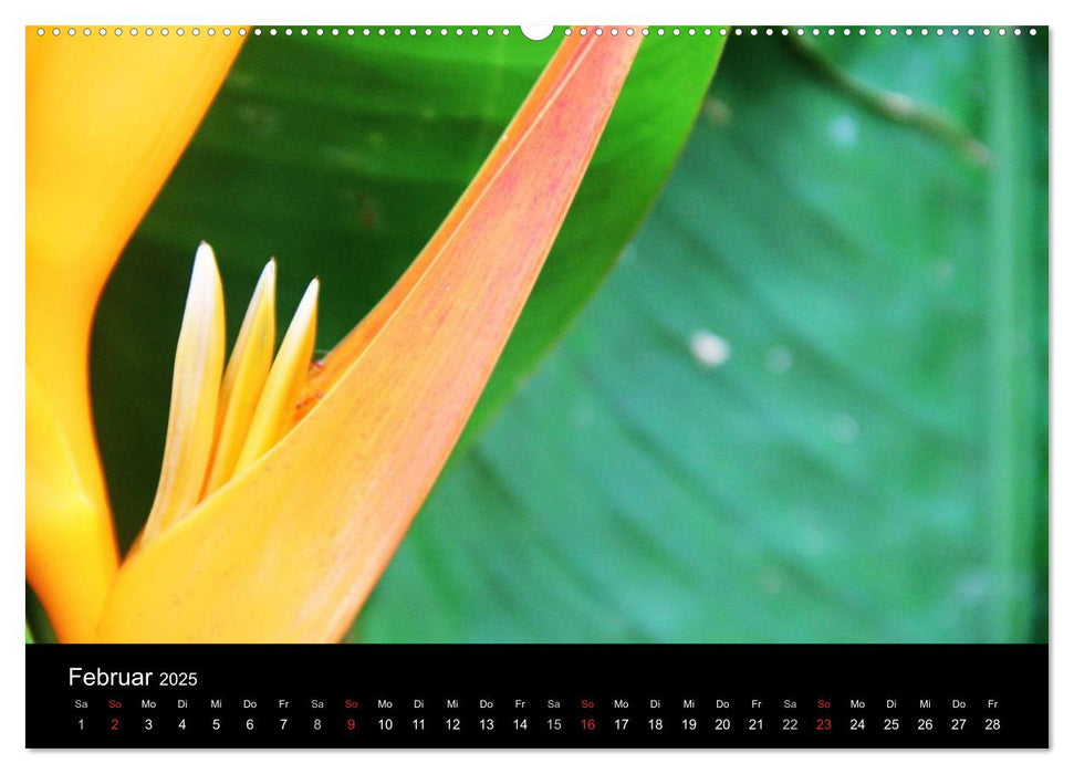 Thailand (CALVENDO Premium Wandkalender 2025)