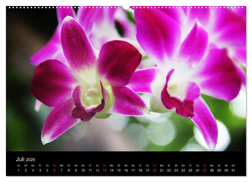 Thailand (CALVENDO Premium Wandkalender 2025)