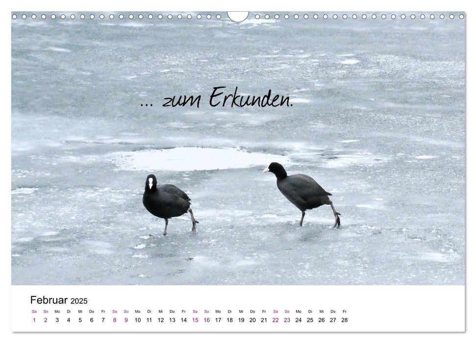 Zeit... (CALVENDO Wandkalender 2025)