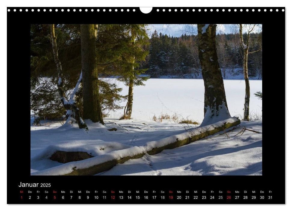 Impressionen aus dem Harz (CALVENDO Wandkalender 2025)