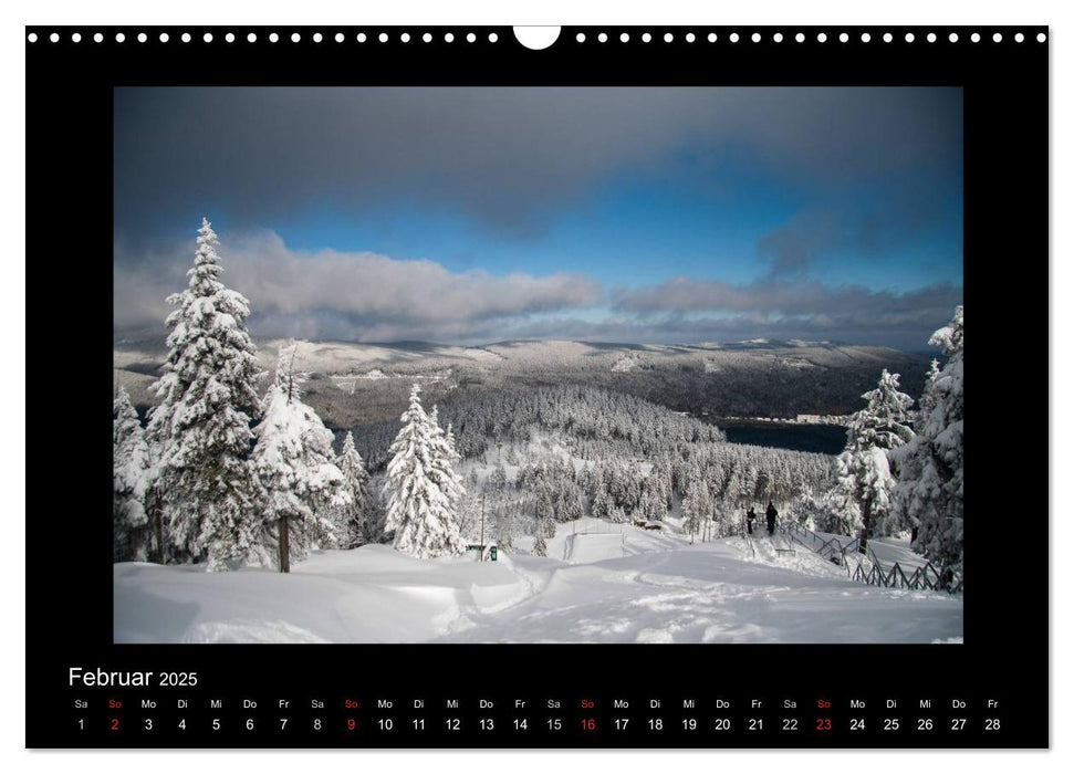 Impressionen aus dem Harz (CALVENDO Wandkalender 2025)