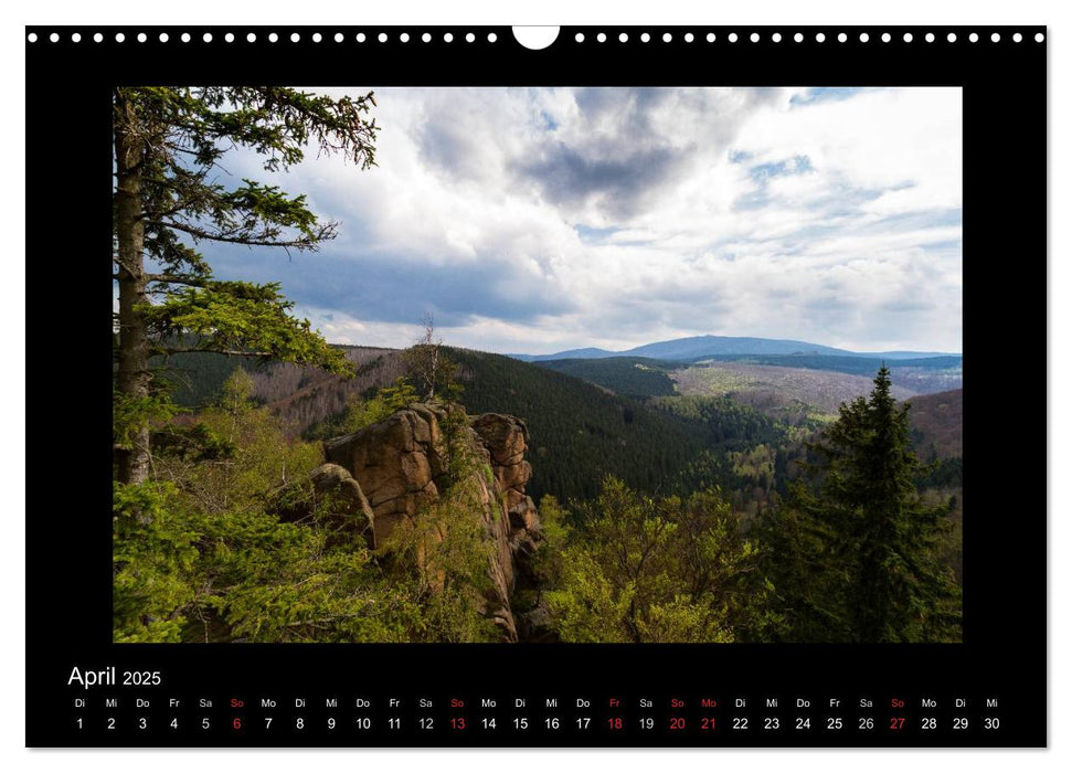 Impressionen aus dem Harz (CALVENDO Wandkalender 2025)