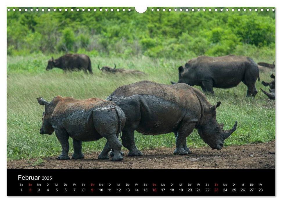 Südafrika (CALVENDO Wandkalender 2025)