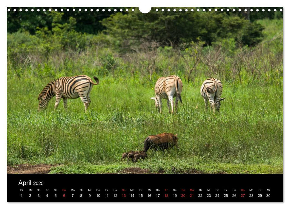 Südafrika (CALVENDO Wandkalender 2025)