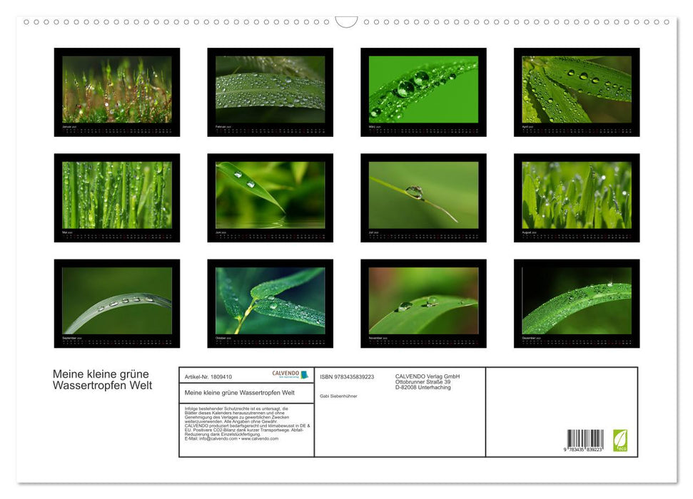 Meine kleine grüne Wassertropfen Welt (CALVENDO Wandkalender 2025)