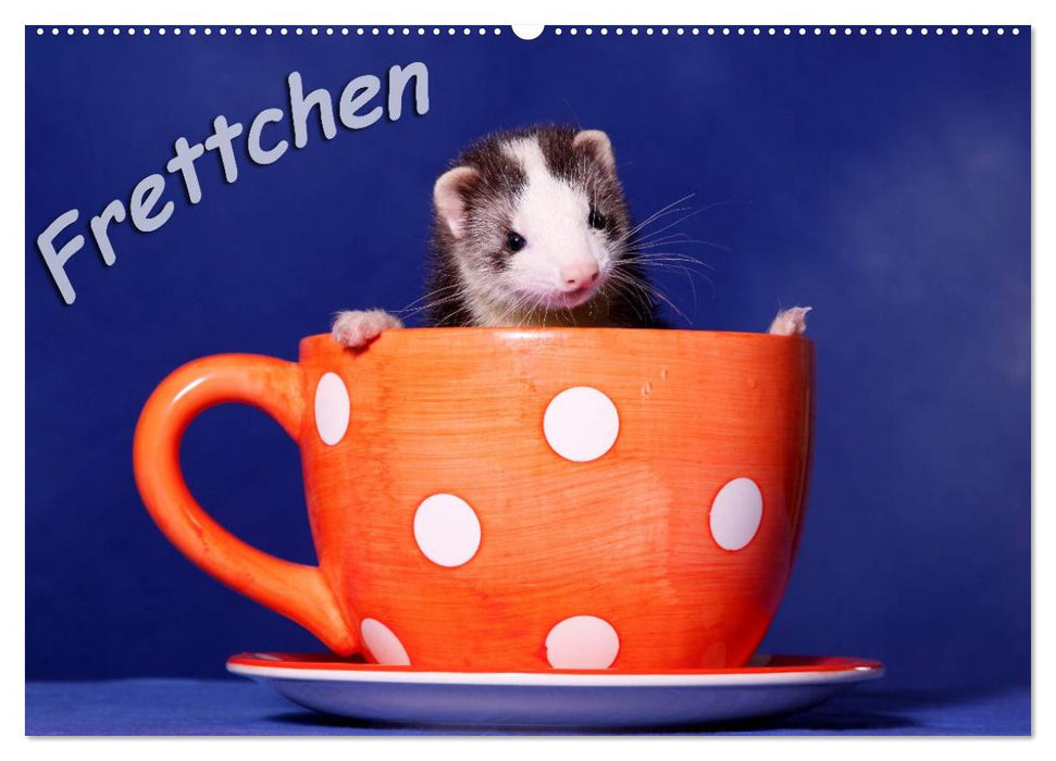 Frettchen - Ferrets (CALVENDO Wandkalender 2025)