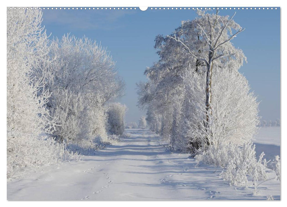 Natur Bilder Kalender (CALVENDO Wandkalender 2025)