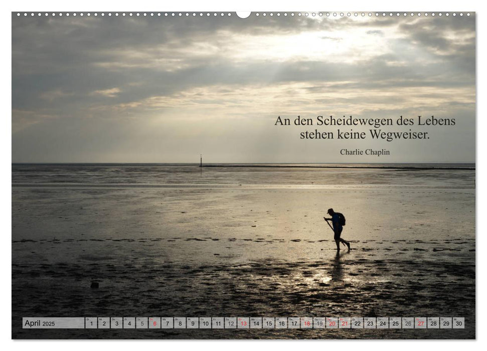 Weises (CALVENDO Wandkalender 2025)