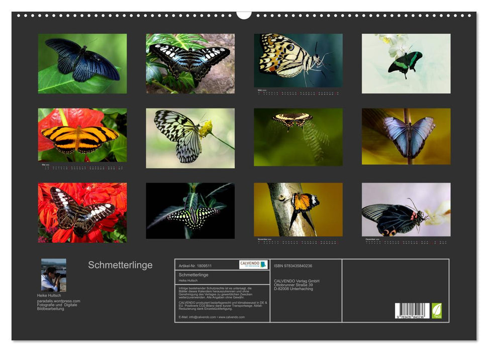 Schmetterlinge (CALVENDO Wandkalender 2025)