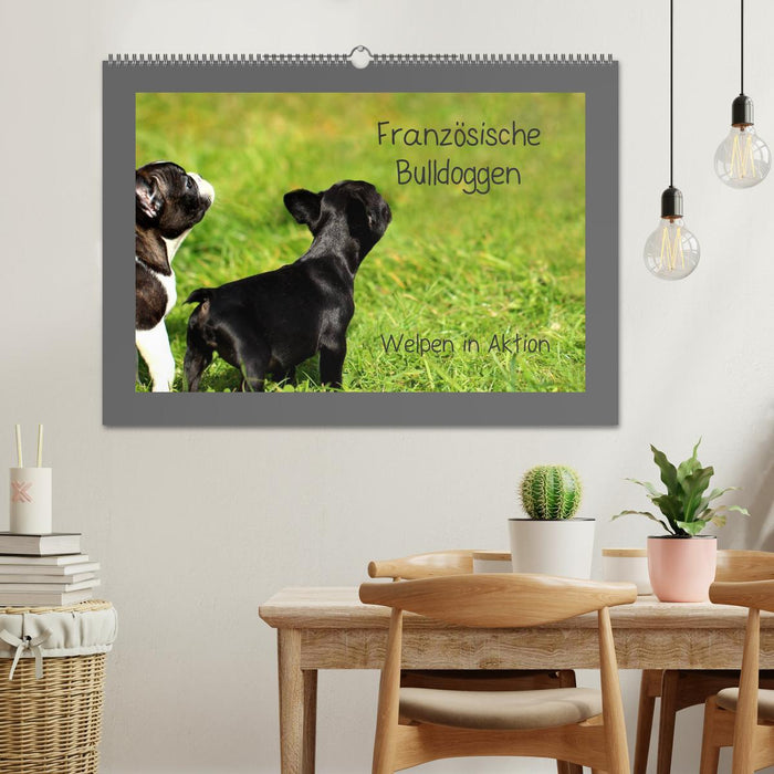 Französische Bulldoggen (CALVENDO Wandkalender 2025)