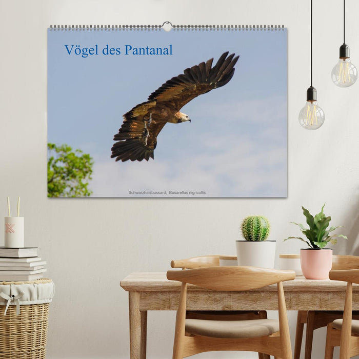 Vögel des Pantanal (CALVENDO Wandkalender 2025)