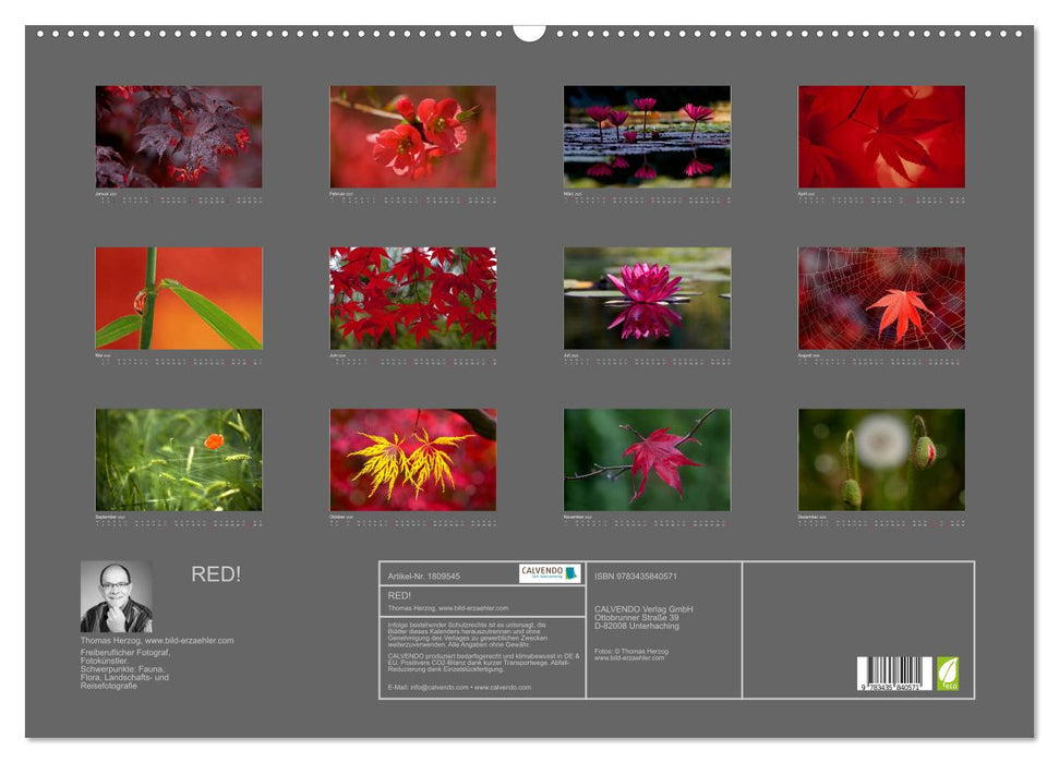 RED! (CALVENDO Wandkalender 2025)