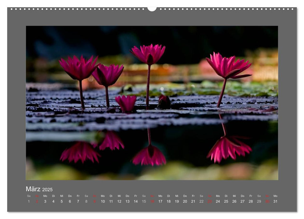RED! (CALVENDO Wandkalender 2025)