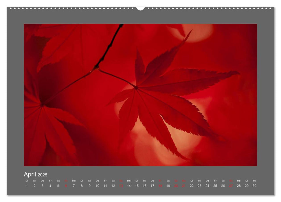 RED! (CALVENDO Wandkalender 2025)