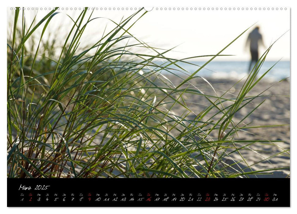 Ostsee-Strand (CALVENDO Wandkalender 2025)