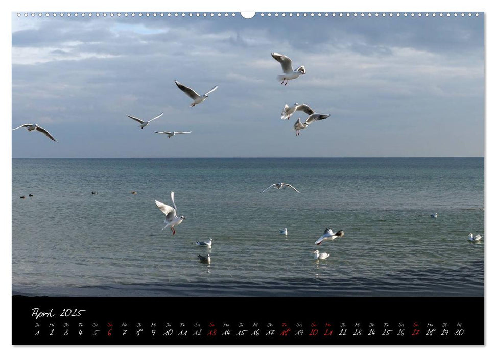 Ostsee-Strand (CALVENDO Wandkalender 2025)