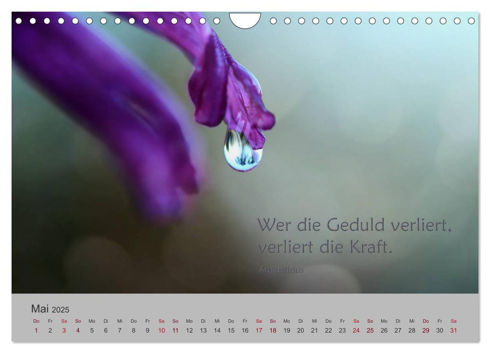 Die Freude und das Lächeln sind der Sommer des Lebens. (CALVENDO Wandkalender 2025)