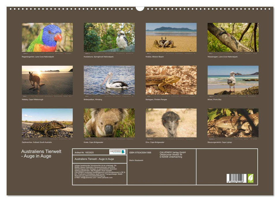Australiens Tierwelt - Auge in Auge (CALVENDO Wandkalender 2025)
