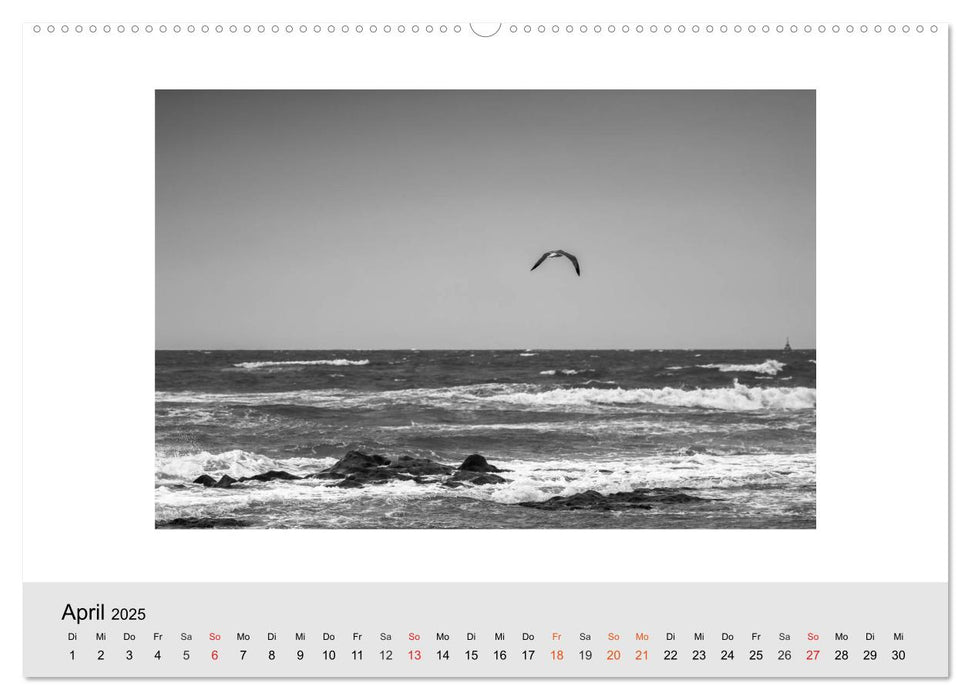 Strand (CALVENDO Wandkalender 2025)