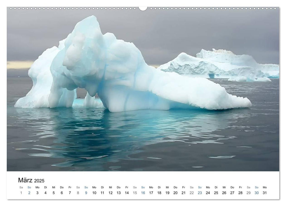 Antarktis (CALVENDO Wandkalender 2025)